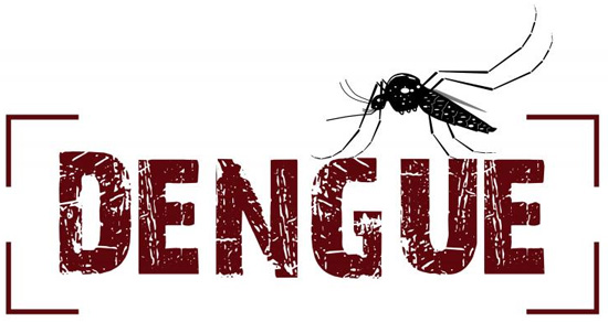 Ilustração do mosquito Aedes aegypti, trasmissor da dengue, zika, chikungunya e febre amarela.